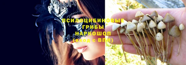 таблы Белокуриха