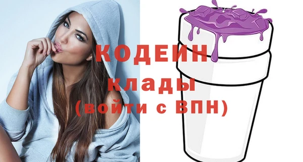 шишки Беломорск