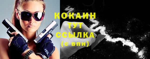 дживик Осташков