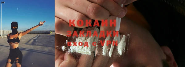 прущие грибы Богородск