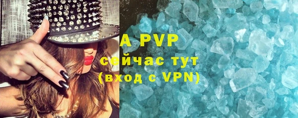 шишки Беломорск