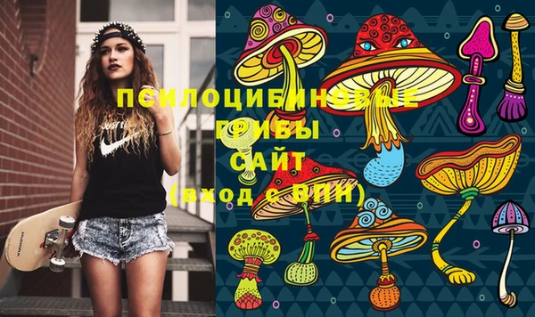прущие грибы Богородск