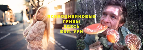 шишки Беломорск