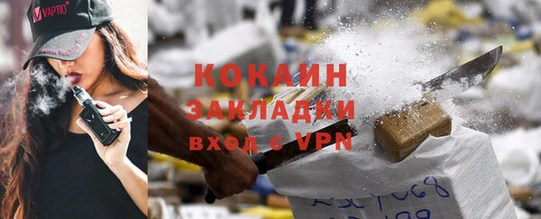 шишки Беломорск