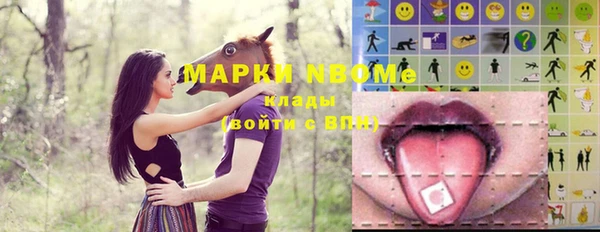шишки Беломорск