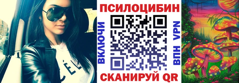 Галлюциногенные грибы Psilocybe  Бокситогорск 